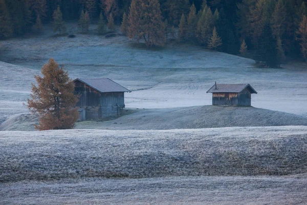 Csodálatos Alpesi Táj Őszi Ködös Reggel Seiser Alm Alpe Siusi — Stock Fotó