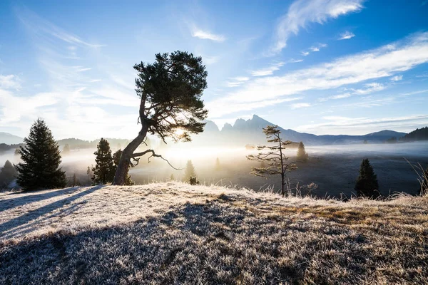 Υπέροχο Αλπικό Τοπίο Του Φθινοπώρου Ομίχλη Πρωί Sepie Alm Ελβετικές — Φωτογραφία Αρχείου