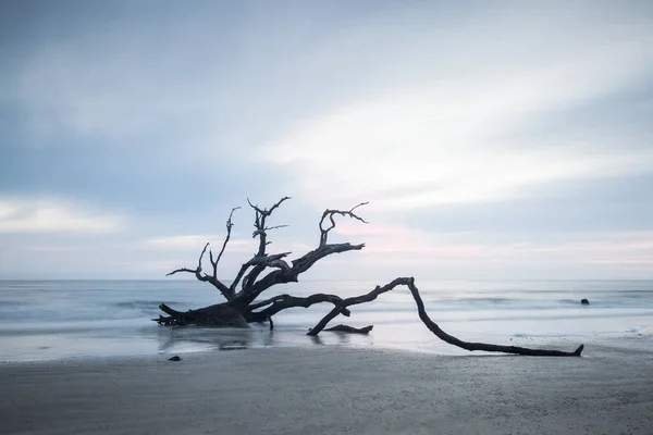 Poranne Światło Fale Plaży Driftwood Oceanie Atlantyckim Wyspie Jekyll Gruzja — Zdjęcie stockowe