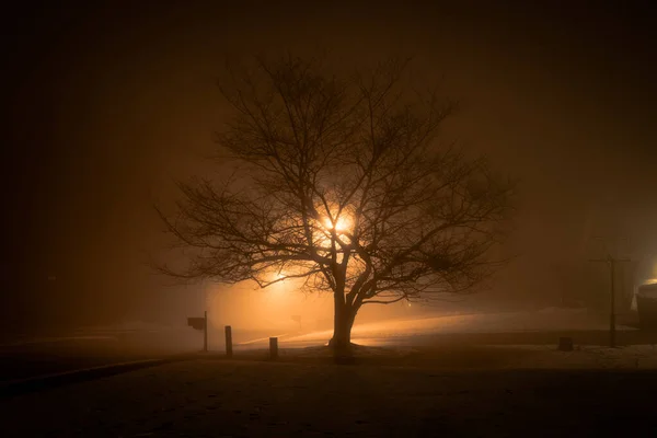 Niebla Parque Ciudad Por Noche Calles Vacías Farolas —  Fotos de Stock