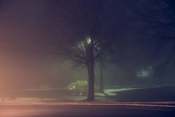 Nebliger Stadtpark Der Nacht Leere Straßen Straßenlaternen — Stockfoto