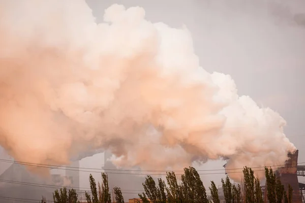 Plant Met Rook Begrip Luchtverontreiniging Milieubescherming — Stockfoto