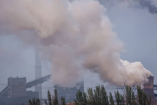 Planta Com Fumo Conceito Poluição Atmosférica Protecção Ambiente — Fotografia de Stock