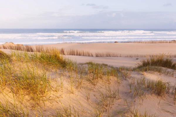 Sand Dunes Ocean Sunny Morning Beautiful Summer Landscape Ocean View — Stock Photo, Image