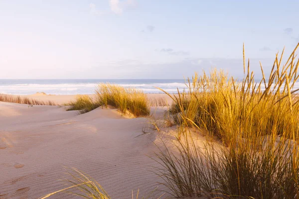 Sand Dunes Ocean Sunny Morning Beautiful Summer Landscape Ocean View — Stock Photo, Image