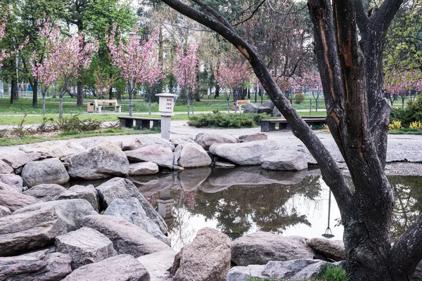 Hermoso Parque Verde Japonés Con Estanque Verano —  Fotos de Stock