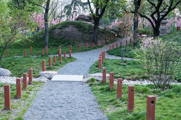 Wunderschöner Japanischer Grünpark Sommer — Stockfoto