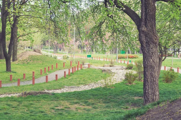 Zöld Városliget Tavaszi Reggel Parkban — Stock Fotó