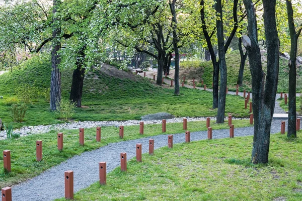 Zöld Városliget Tavaszi Reggel Parkban — Stock Fotó