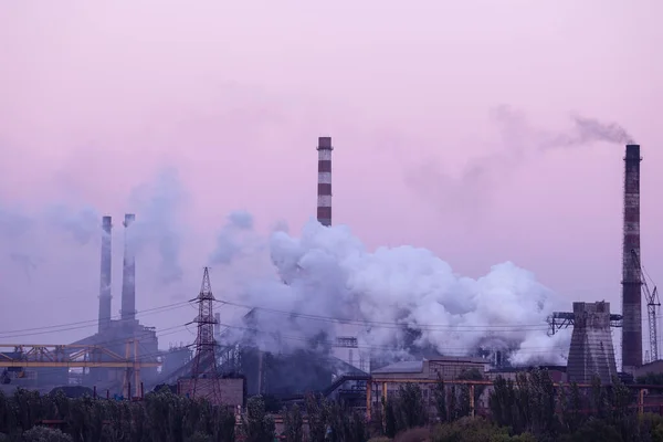 Plant Met Rook Begrip Luchtverontreiniging Milieubescherming Stockfoto