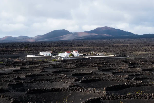 Volcanic Lanzarote landscape. Lanzarote. Canary Islands. Spain