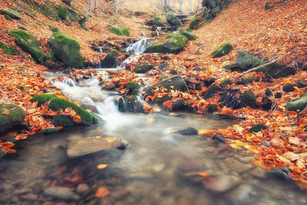 Őszi Táj Big Creek Rögzített Mozgás Elmosódás Great Smoky Mountains — Stock Fotó