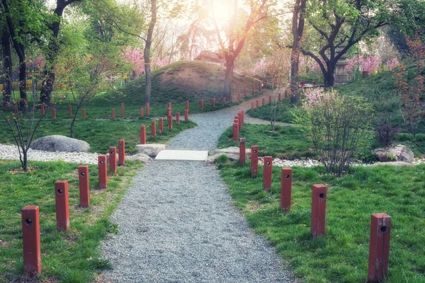 Green City Park Spring Morning Park — Stock Photo, Image