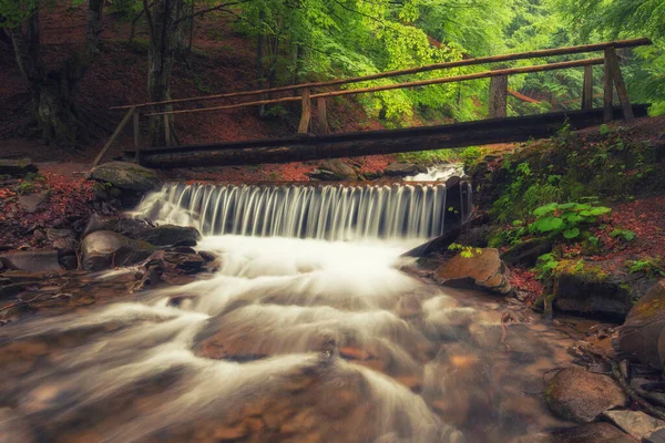 Pont Bois Pittoresque Traversant Ruisseau Milieu Une Forêt Été Verdoyante — Photo