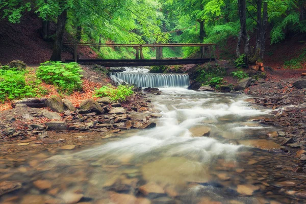 落葉緑の夏の森の真ん中の小川を渡って絵のように美しい木製の橋 小さな川を渡る — ストック写真