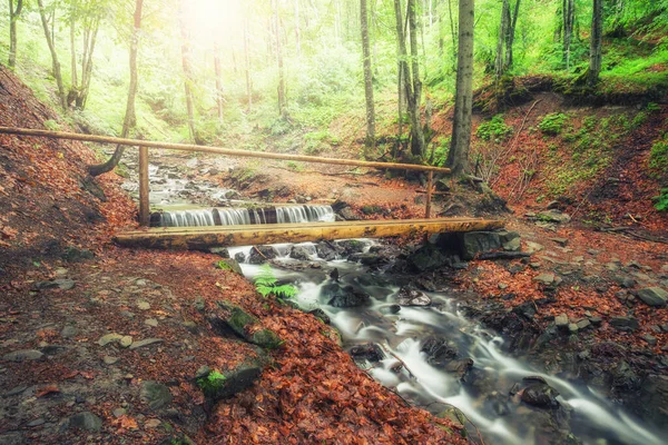 Pont Bois Pittoresque Traversant Ruisseau Milieu Une Forêt Été Verdoyante — Photo