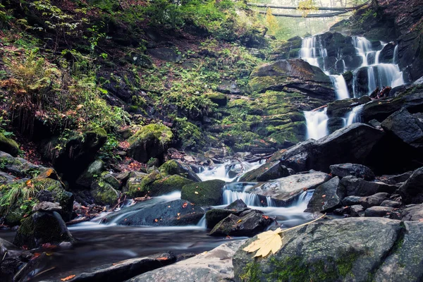 Cascade Dans Forêt Profonde Cascad Creek Dans Les Montagnes — Photo