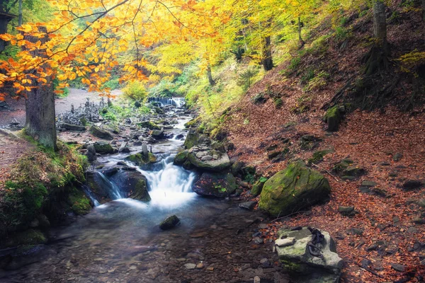 Όμορφο Δάσος Ρυάκι Μια Χρυσή Φθινοπωρινή Φύση Ομορφιά Κόσμο Της — Φωτογραφία Αρχείου