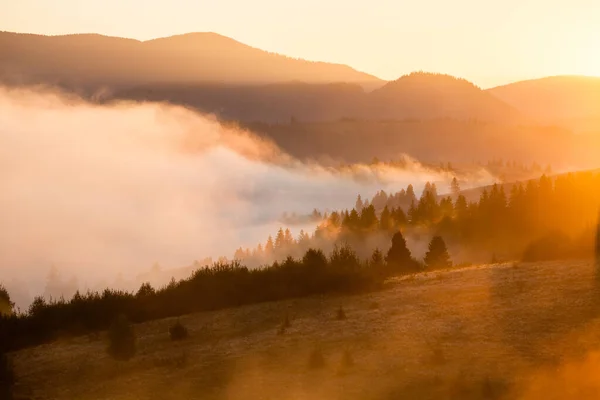 Туманный Пейзаж Горах Восхода Солнца Утренняя Туманная Осень Шипит Солнечного — стоковое фото