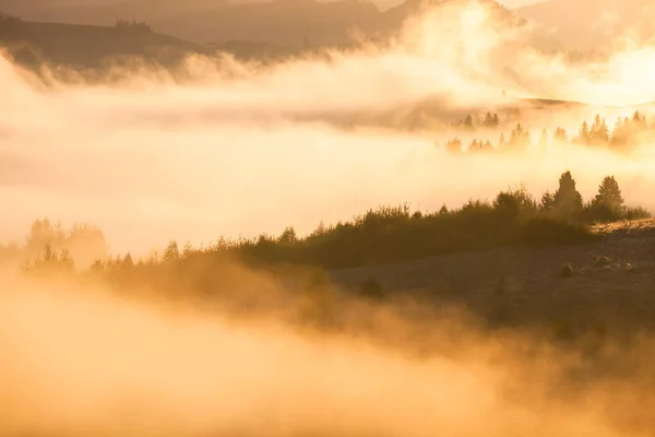 Smukt Tåget Landskab Solopgangsbjergene Fantastisk Morgen Tåget Efterår Bakker Glødende - Stock-foto