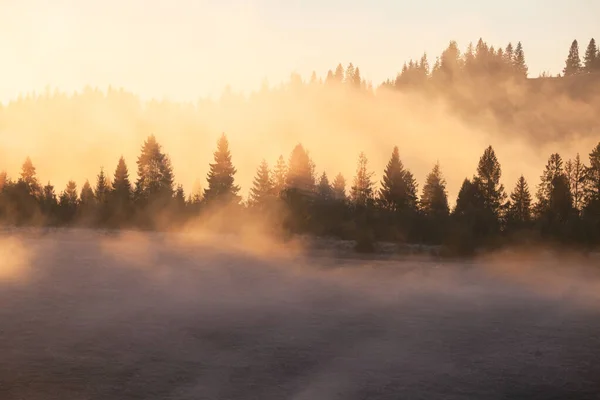 Güneşin Doğduğu Dağlarda Güzel Sisli Bir Manzara Güneş Işığıyla Parlayan — Stok fotoğraf