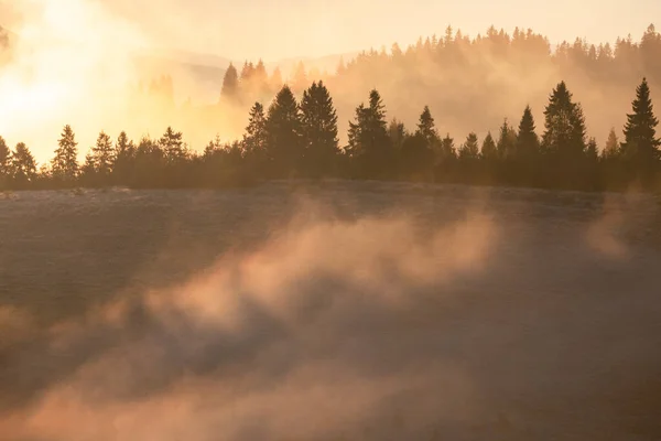 Prachtig Mistig Landschap Zonsopgang Bergen Fantastische Ochtend Mistige Herfst Heuvels — Stockfoto