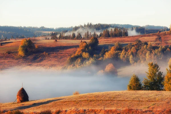日の出の山の中で美しい霧の風景 幻想的な朝霧の秋の丘太陽の光で輝く — ストック写真