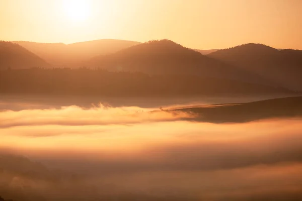 Beautiful Foggy Landscape Sunrise Mountains Fantastic Morning Foggy Autumn Hills — Stock Photo, Image