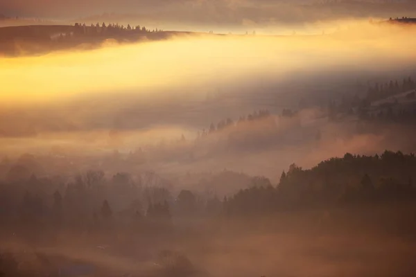 Schöne Neblige Landschaft Den Bergen Des Sonnenaufgangs Fantastische Morgendlichen Nebligen — Stockfoto