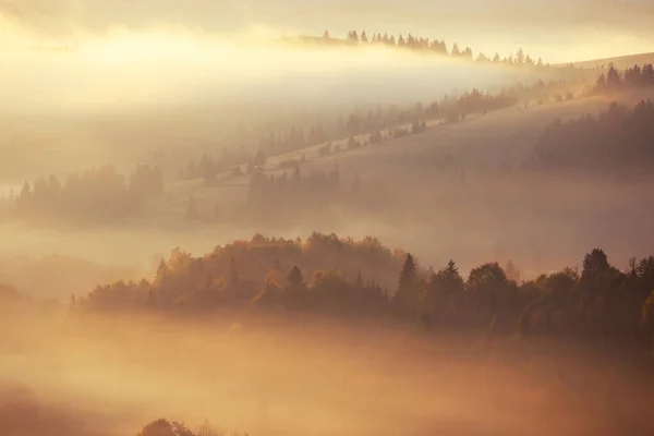 日出群山中雾蒙蒙的美丽风景 美丽的早晨 雾蒙蒙的秋山 阳光灿烂 — 图库照片