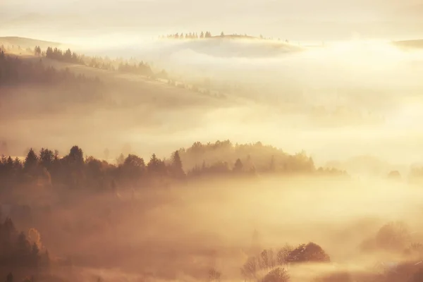 Prachtig Mistig Landschap Zonsopgang Bergen Fantastische Ochtend Mistige Herfst Heuvels — Stockfoto