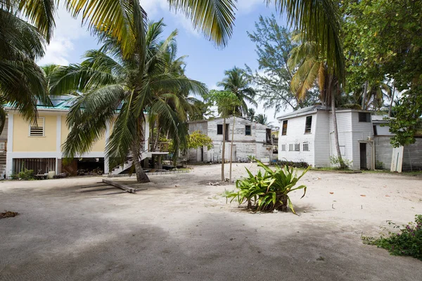 Tütün Cay Belize