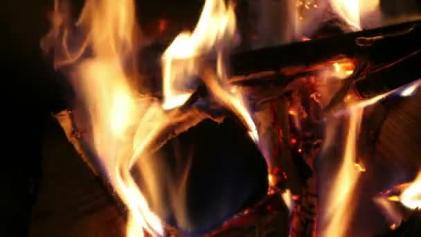Blazing log fire — Stock Video