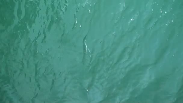 Acqua in movimento verde acqua brillante — Video Stock