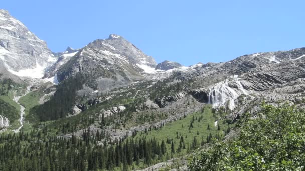 Şelale ile British columbia Buzulu np columbia Dağları — Stok video