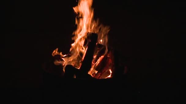 Fuego ardiente en el campamento — Vídeos de Stock