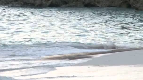 Mare caraibico schiantarsi sulla spiaggia in bermuda — Video Stock
