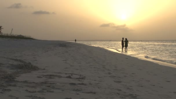 Пара на острове пляж во время заката — стоковое видео