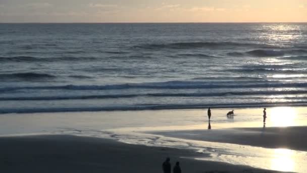 Par och hund på kanon strand, solnedgång — Stockvideo