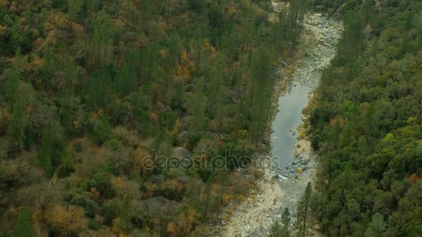 Grass Valley Stream Panoramica — Video Stock