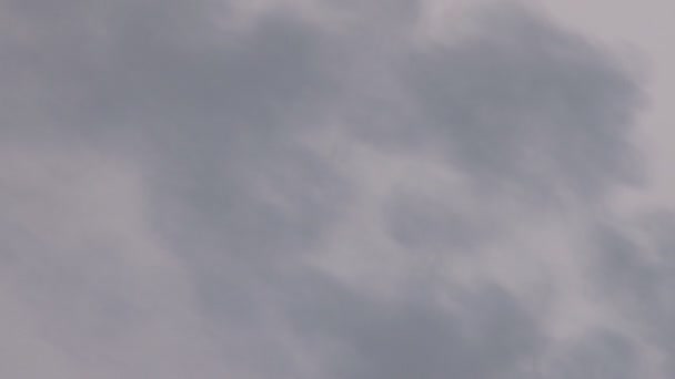 Nuages de fumée gris — Video