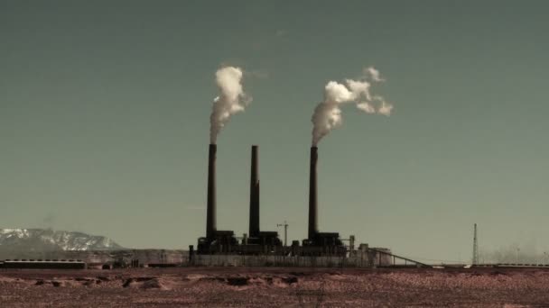 Platte woestijn fabriek — Stockvideo