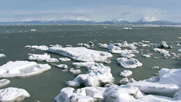 Pezzi di ghiaccio galleggianti nelle montagne della baia — Video Stock