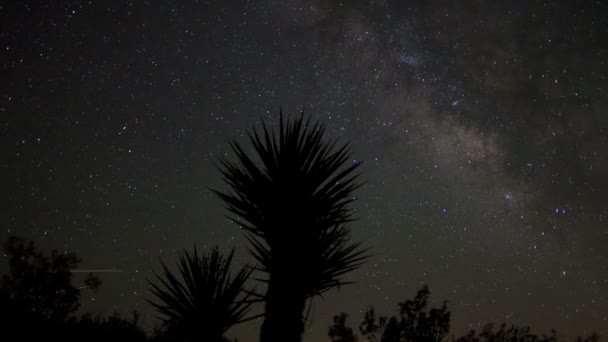 Galaxy over joshua tree timelapse — Stock Video