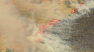 orange flames from brushfire
