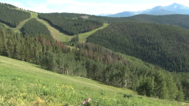 コロラド州の緑豊かな山々 — ストック動画