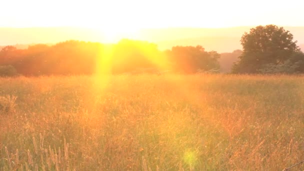 オレンジ色の夕日の田舎パン — ストック動画