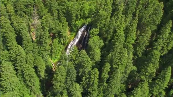 National forest waterfall aerial — Stock Video