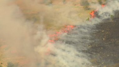 orange flames from brushfire