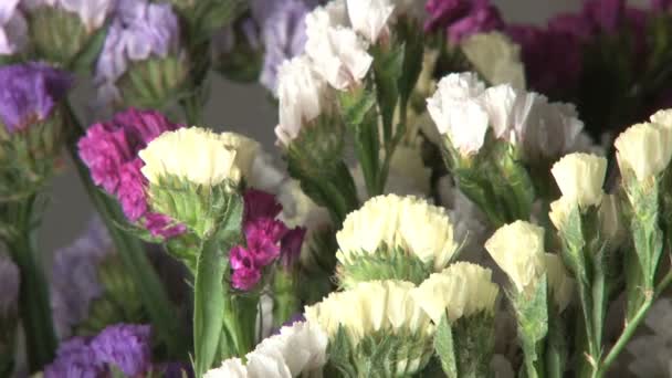 Roxo rotativo e flores brancas — Vídeo de Stock